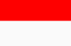 Republic of Indonesia Flag